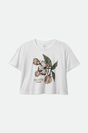Apple Blossom S/S Boxy Tee - White